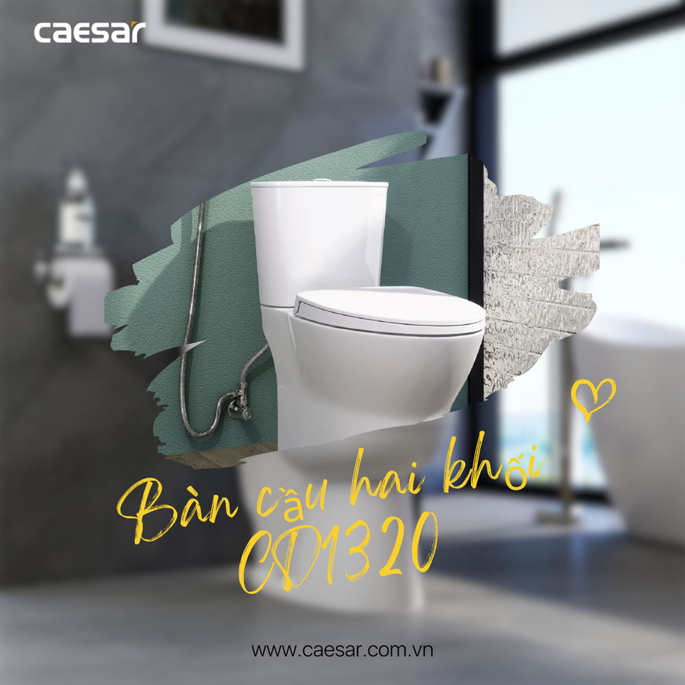 Bồn cầu 2 khối nắp điện tử Caesar CD1320+TAF610H