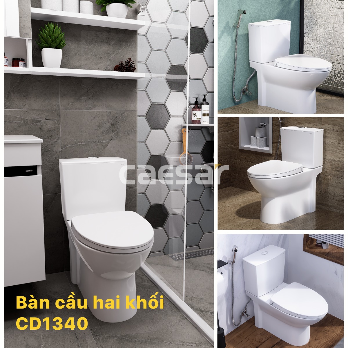 Bồn cầu 2 khối Caesar CD1340 nắp đóng êm