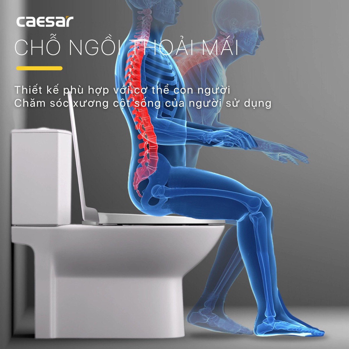 Bồn cầu 2 khối Caesar CD1340 nắp đóng êm