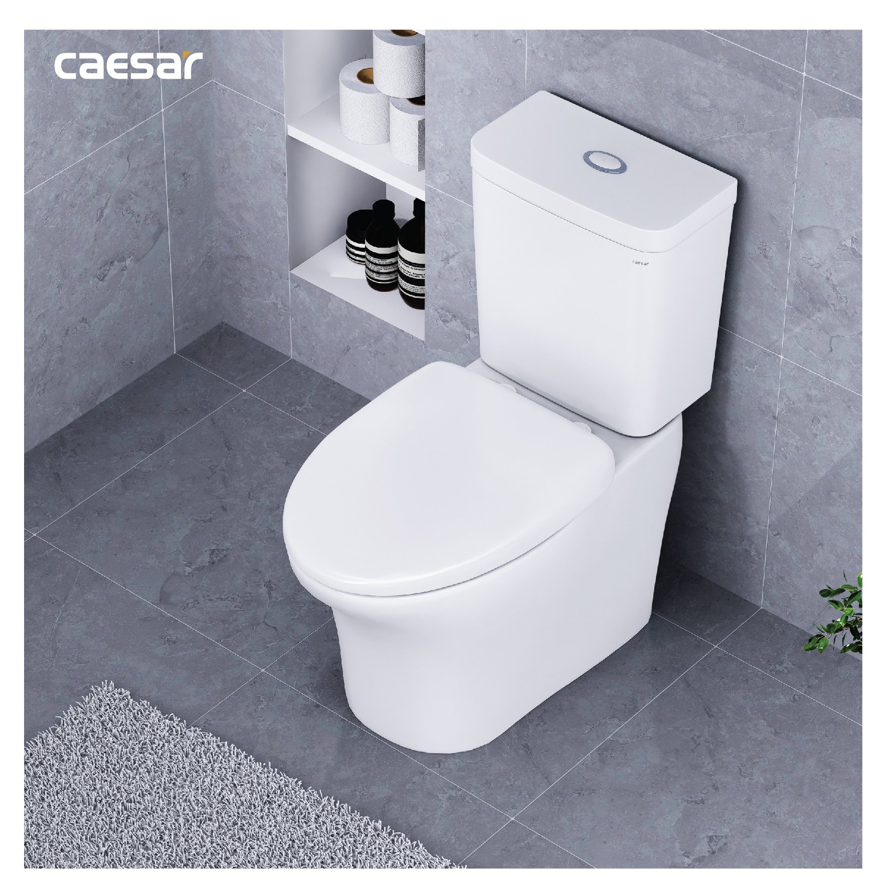 Bồn cầu 2 khối Caesar CD1341 nắp đóng êm