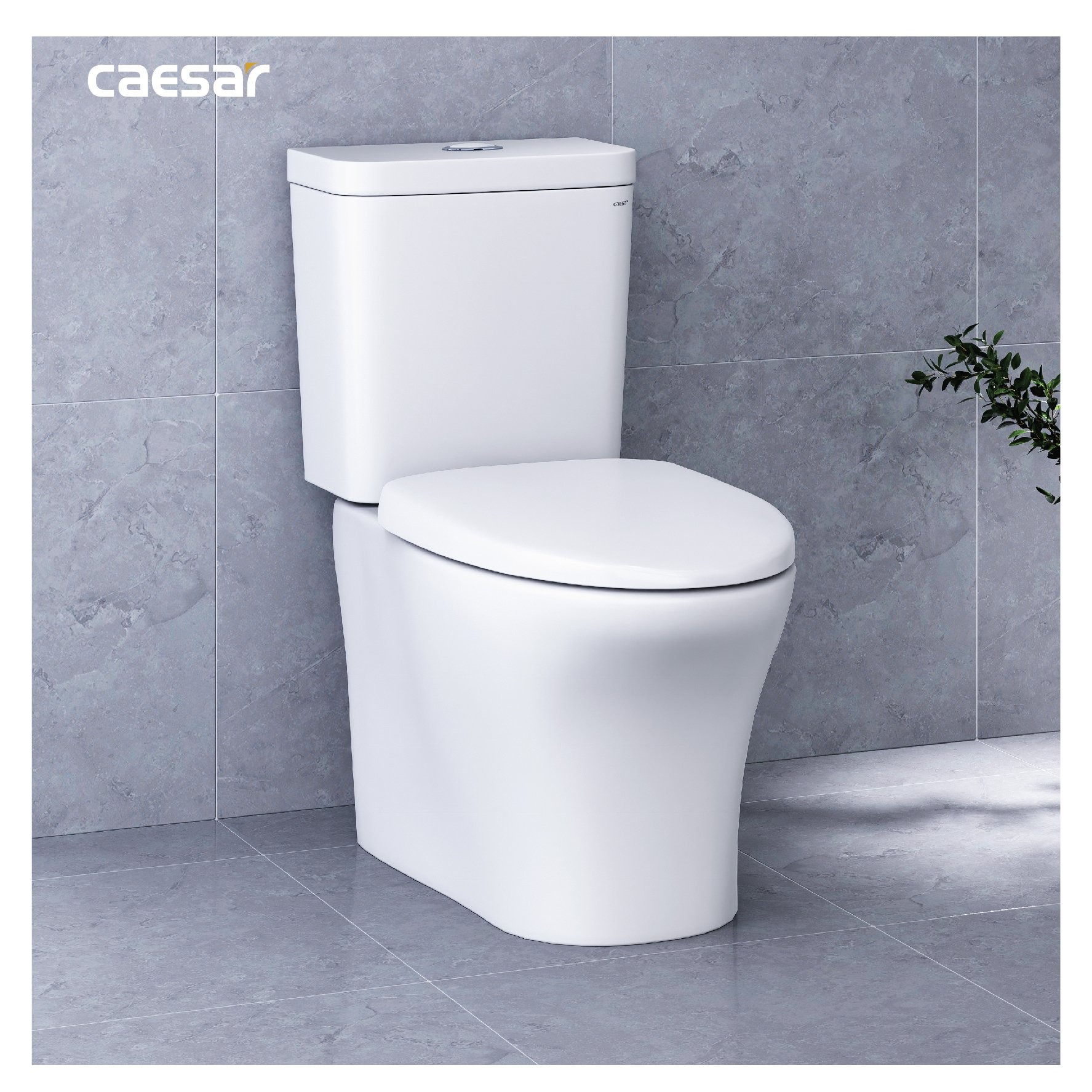 Bồn cầu 2 khối Caesar CD1341 nắp đóng êm