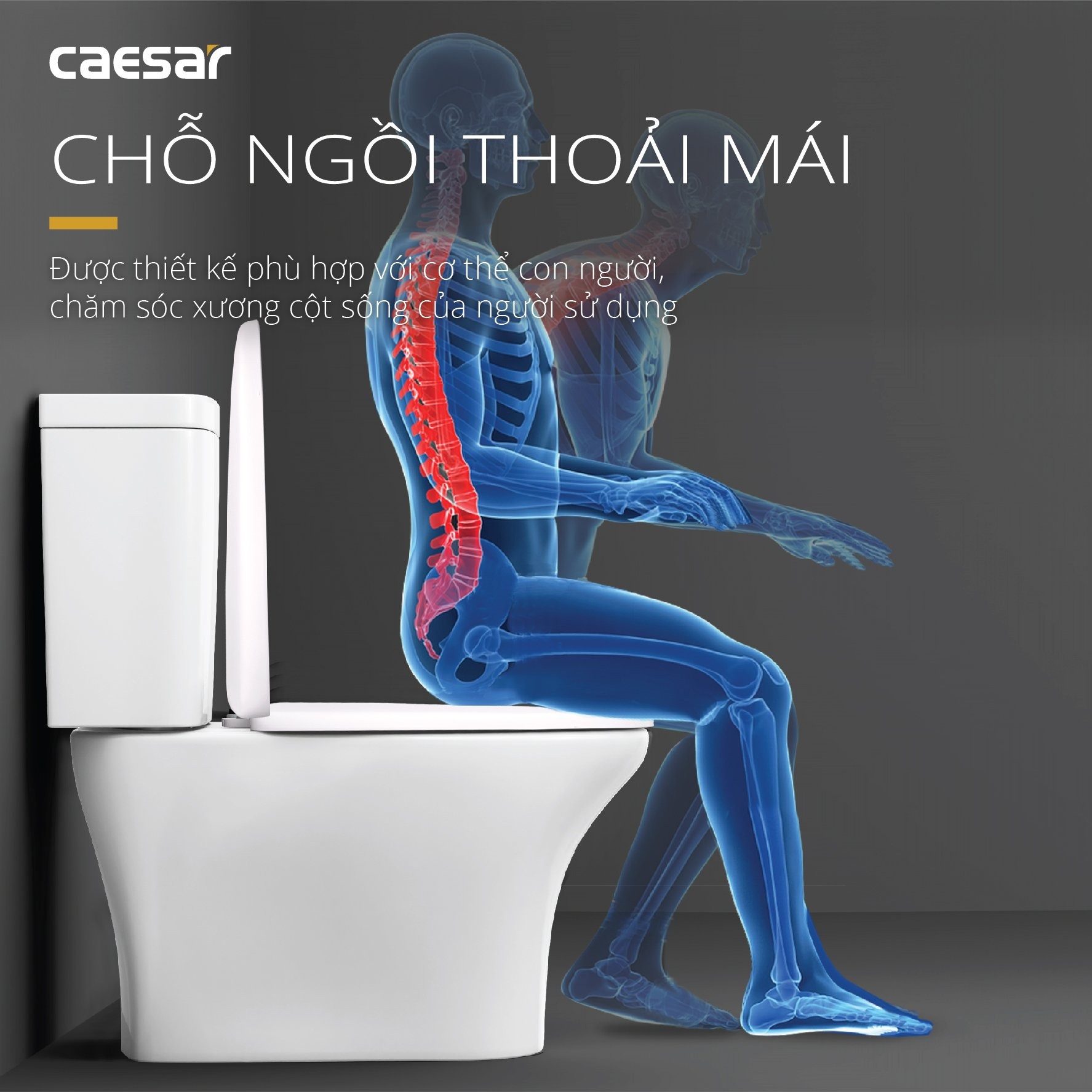 Bồn cầu 2 khối Caesar CD1341 nắp đóng êm