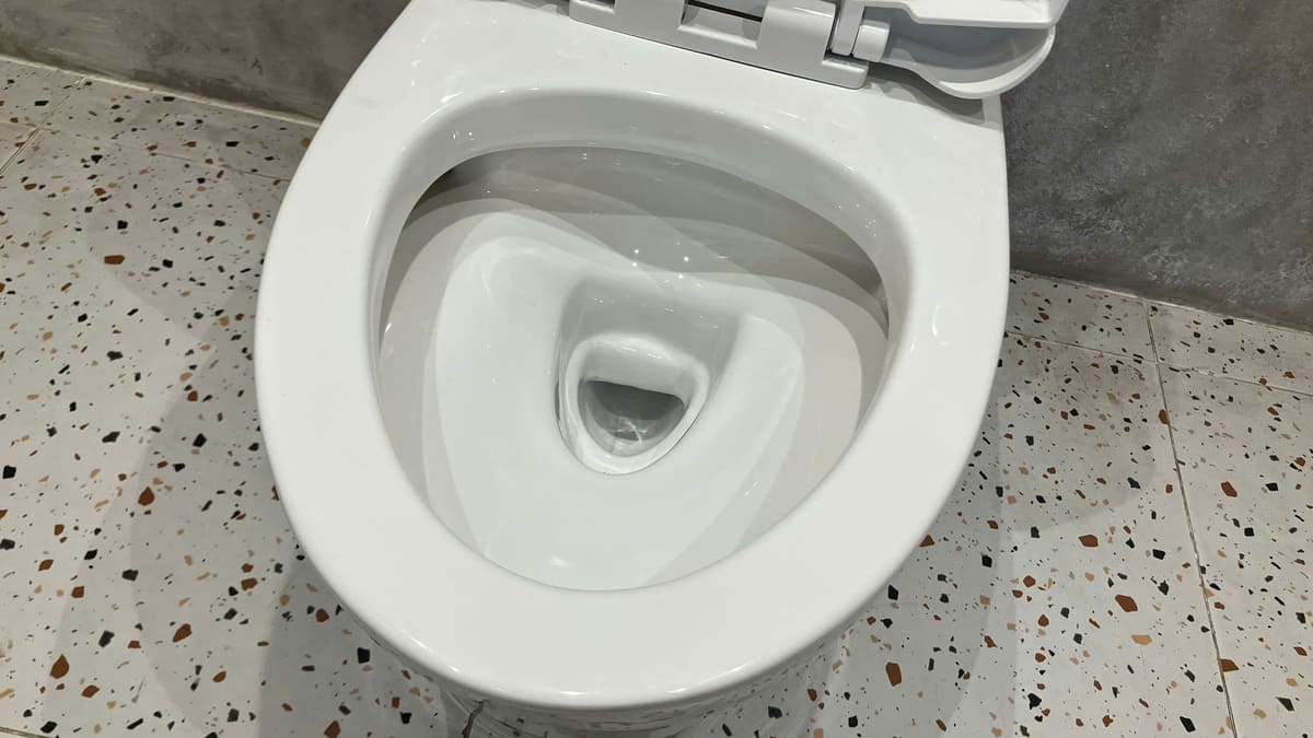 Bồn cầu 2 khối CAESAR CD1342 nắp đóng êm