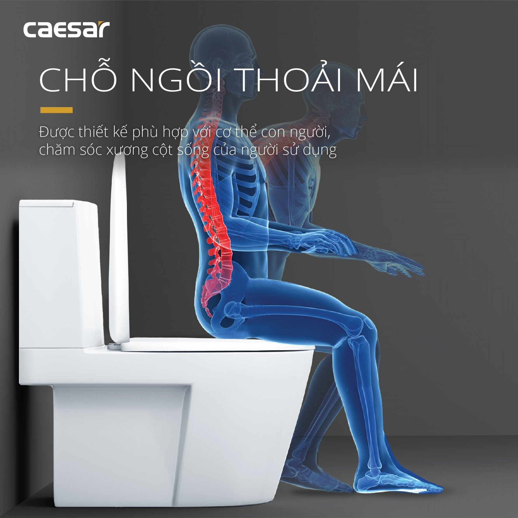 Bồn cầu 2 khối Caesar CD1345 nắp êm
