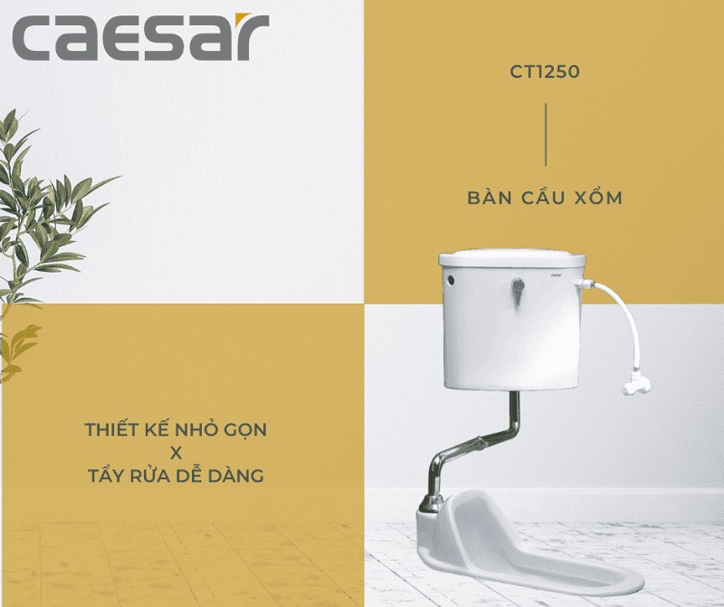 Bồn cầu xí xổm Caesar CT1250