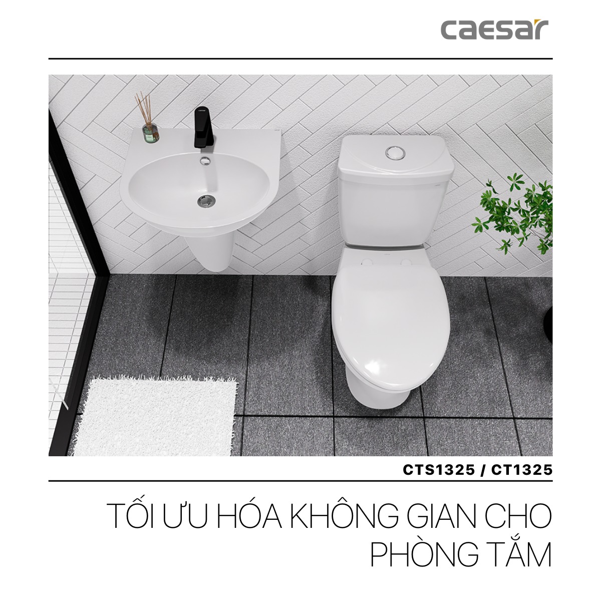Bồn cầu 2 khối Caesar CT1325 nắp thường