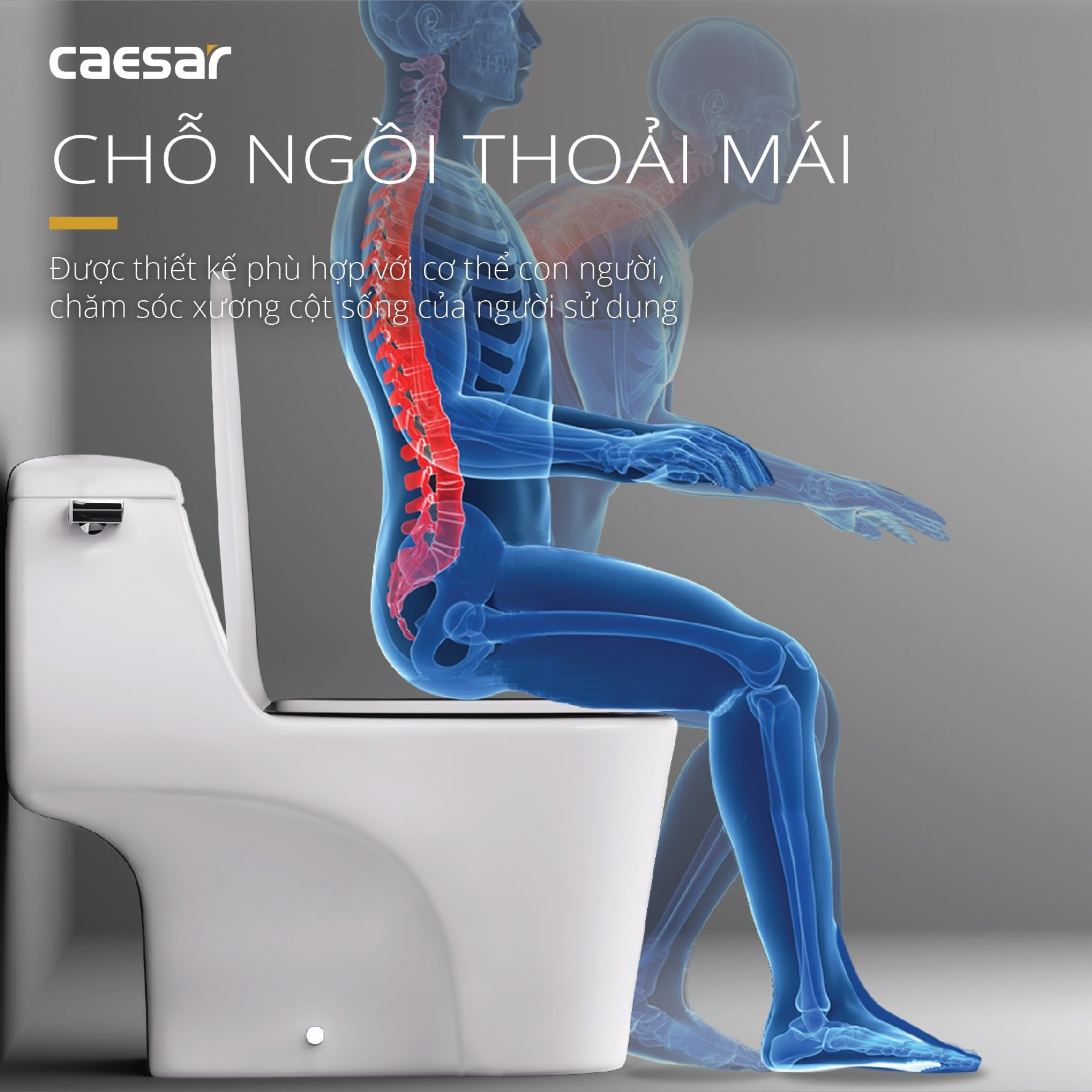 Bồn cầu 1 khối Caesar C1353 nắp êm