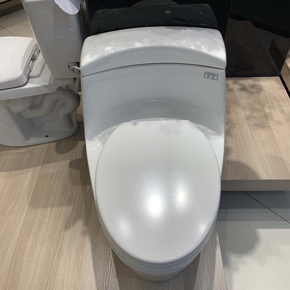 Bồn cầu 1 khối Caesar C1353 nắp êm