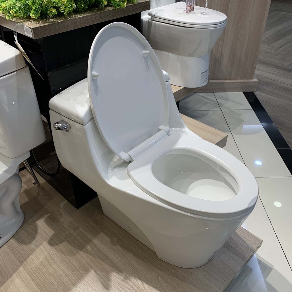 Bồn cầu 1 khối Caesar C1353 nắp êm