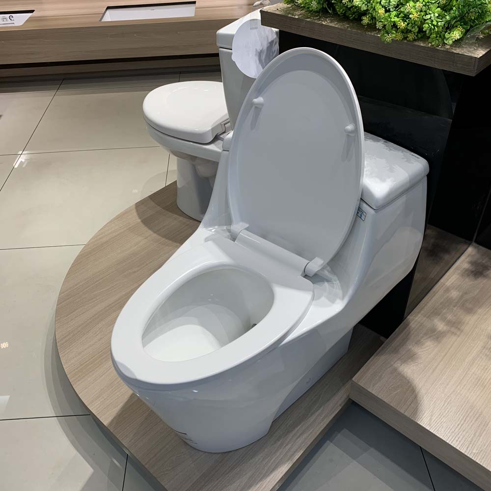 Bồn cầu 1 khối Caesar C1353 nắp êm