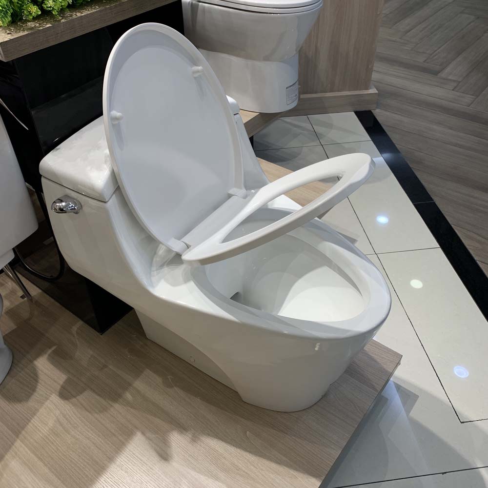 Bồn cầu 1 khối Caesar C1353 nắp êm