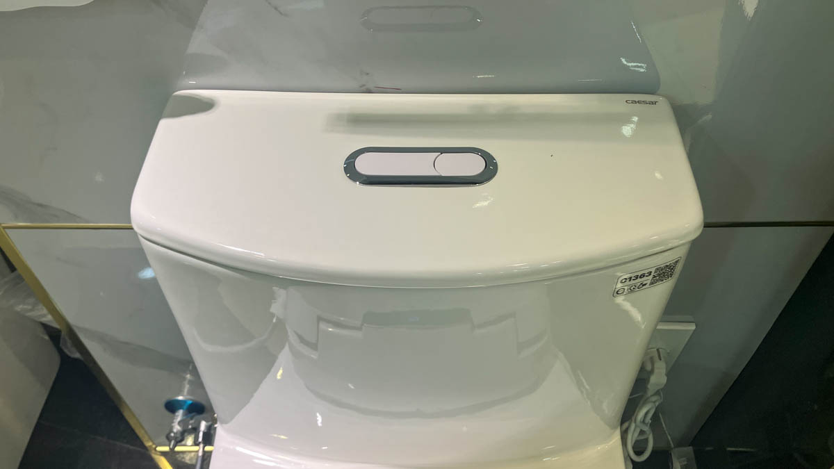 Bồn cầu 1 khối nắp điện tử Caesar C1363F+TAF610H