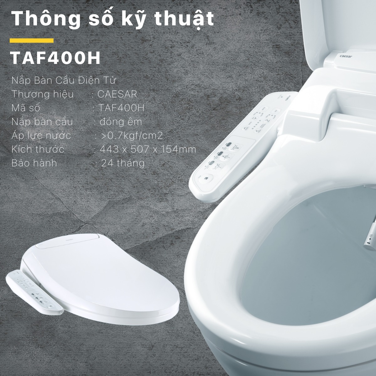 Bồn cầu 1 khối nắp điện tử Caesar C1391F + TAF400H (C1391+TAF400H)