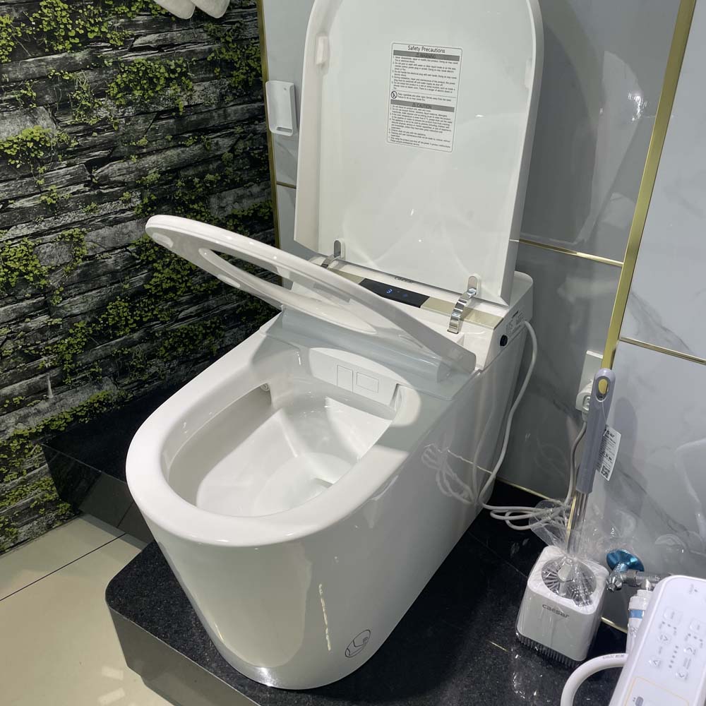 Bồn cầu điện tử thông minh Caesar CA1389H