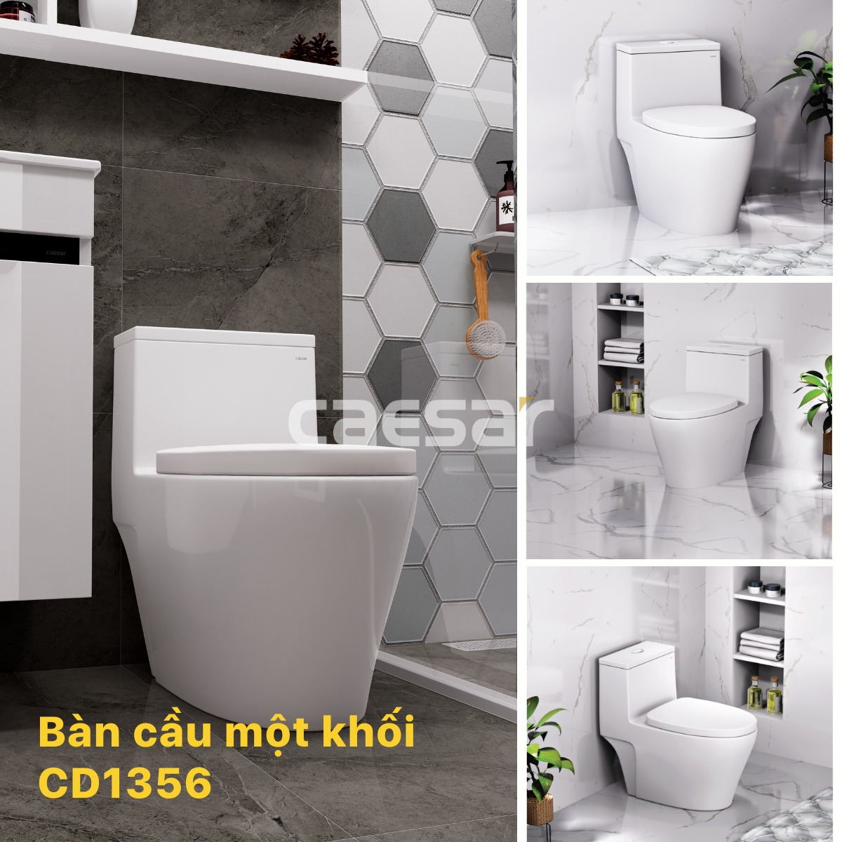 Bồn cầu 1 khối Caesar C1356 (CD1356) nắp đóng êm