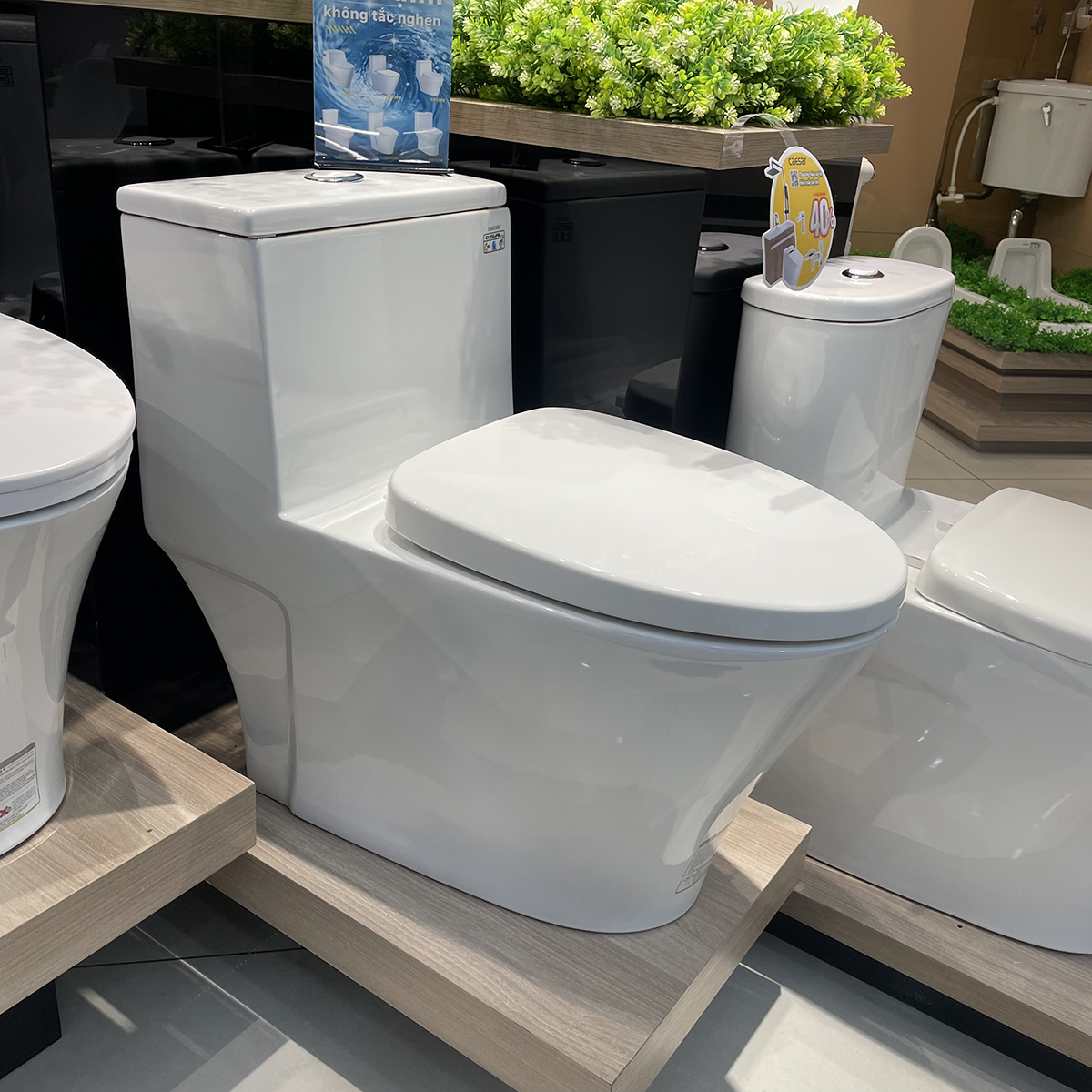 Bồn cầu 1 khối Caesar C1356 (CD1356) nắp đóng êm