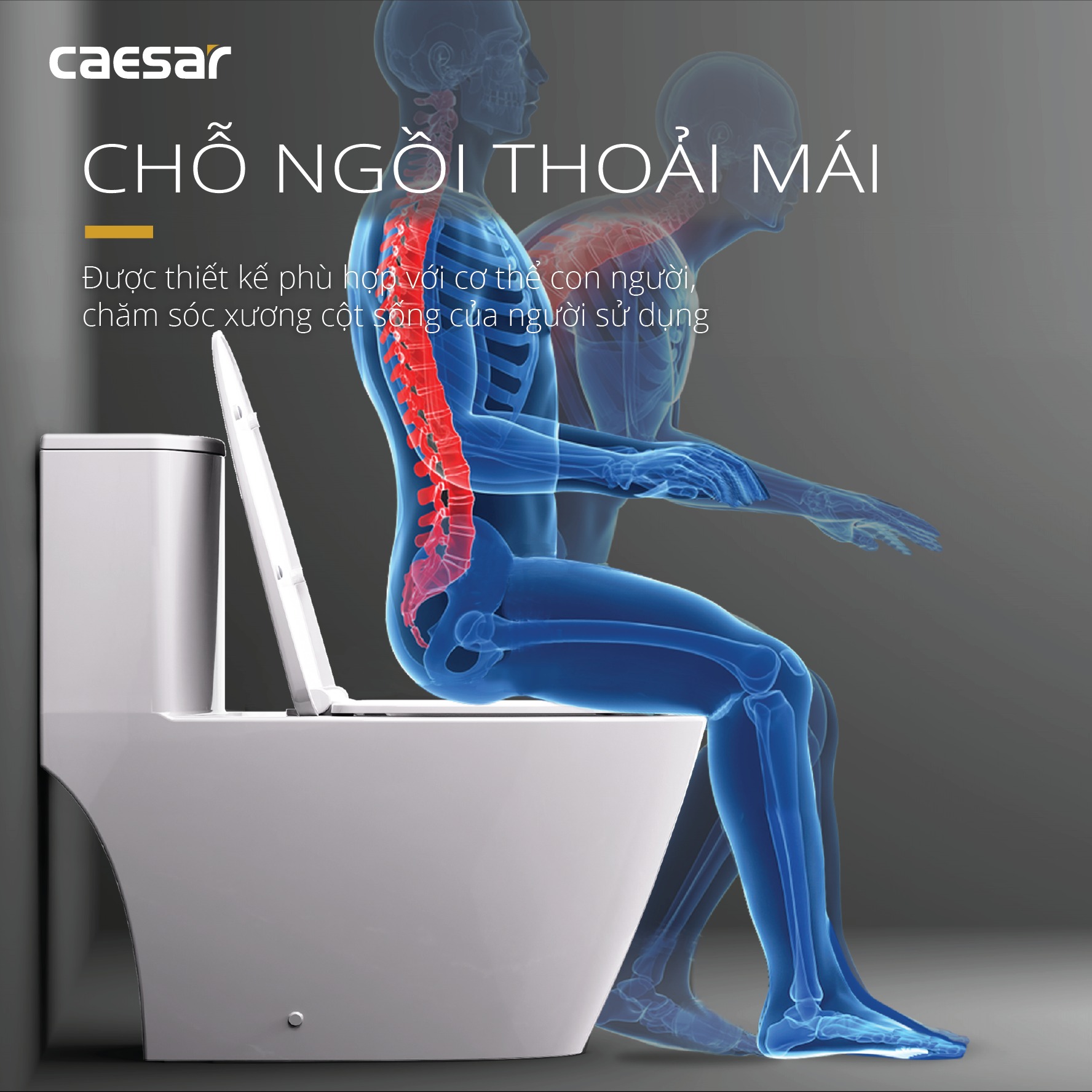 Bồn cầu 1 khối Caesar C1363 (CD1363) nắp đóng êm