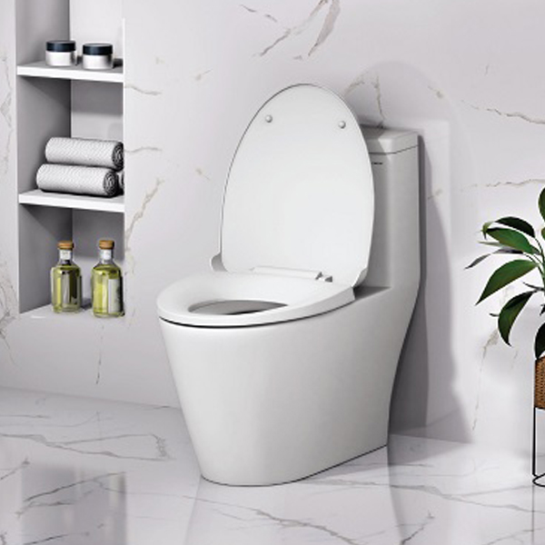 Bồn cầu 1 khối Caesar C1363 (CD1363) nắp đóng êm