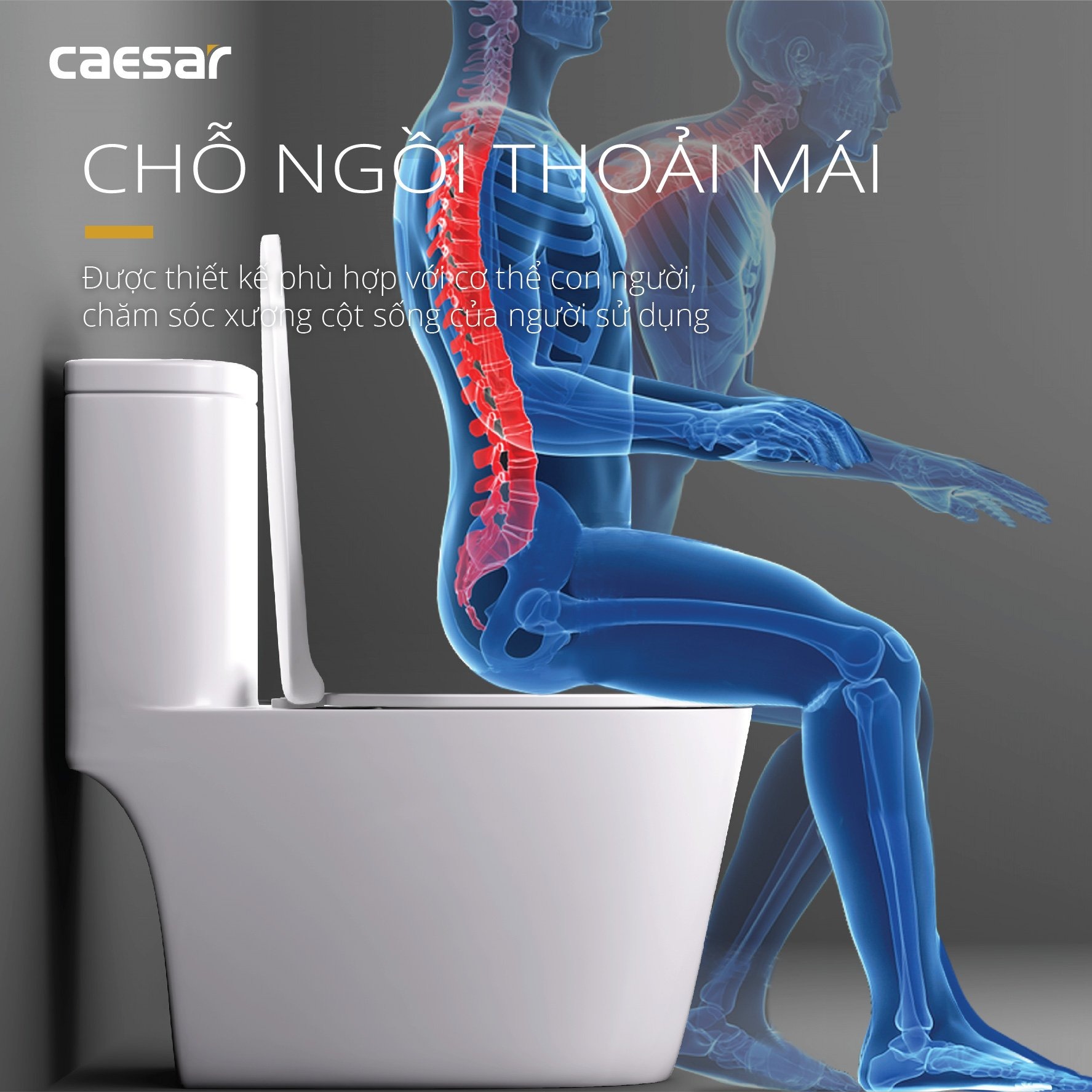 Bồn cầu 1 khối Caesar C1364 (CD1364) nắp đóng êm