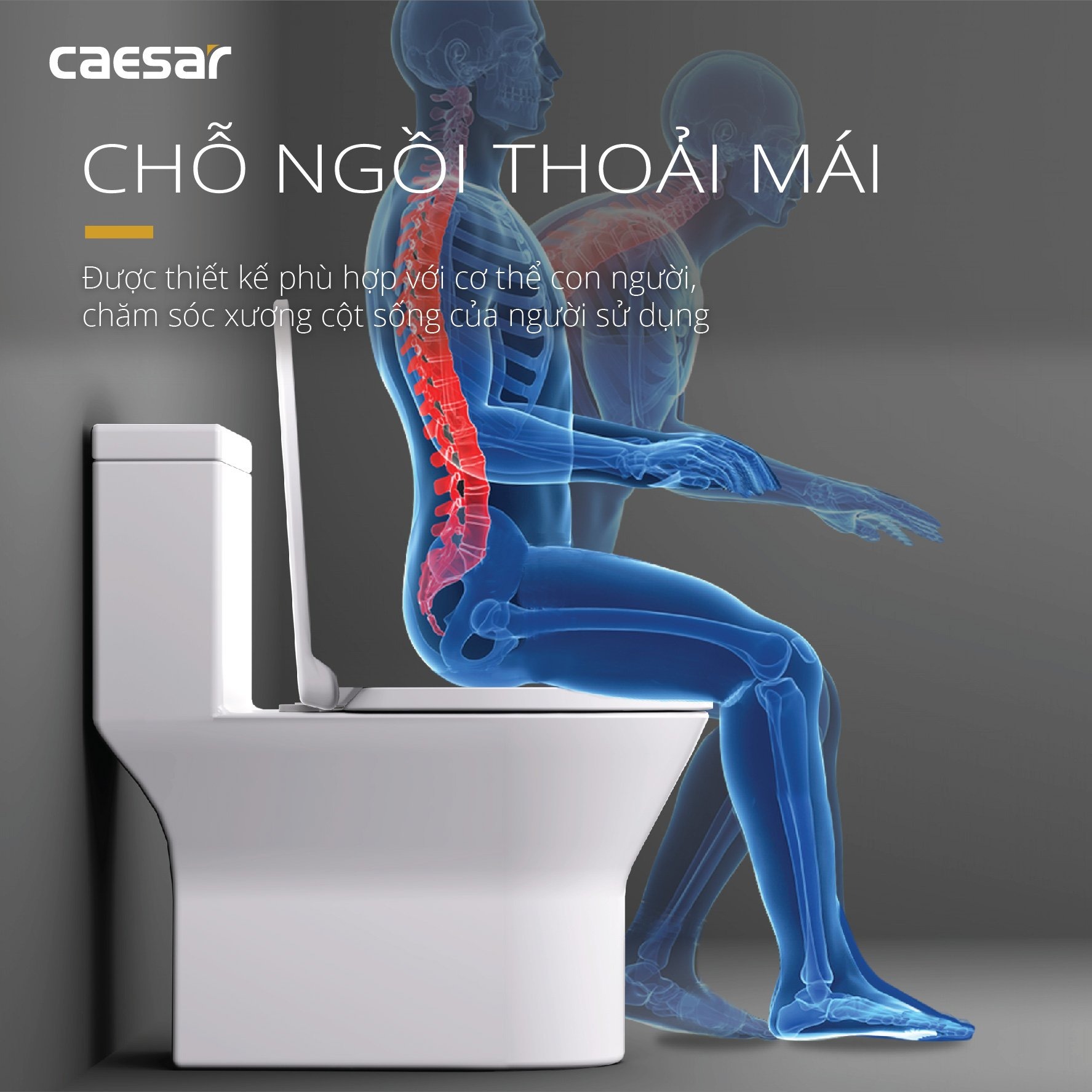 Bồn cầu 1 khối Caesar C1374 (CD1374) nắp đóng êm