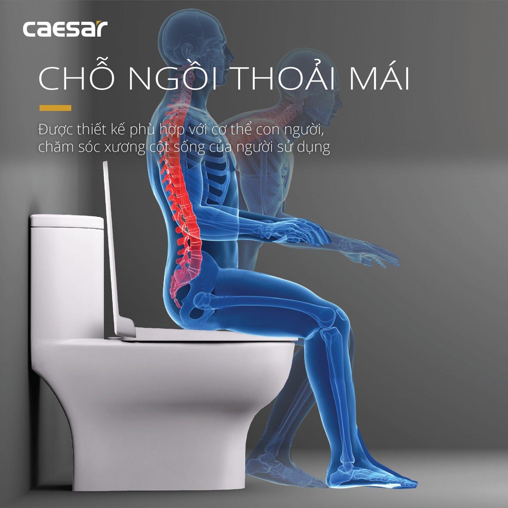 Bồn cầu 1 khối Caesar C1375 (CD1375) nắp đóng êm
