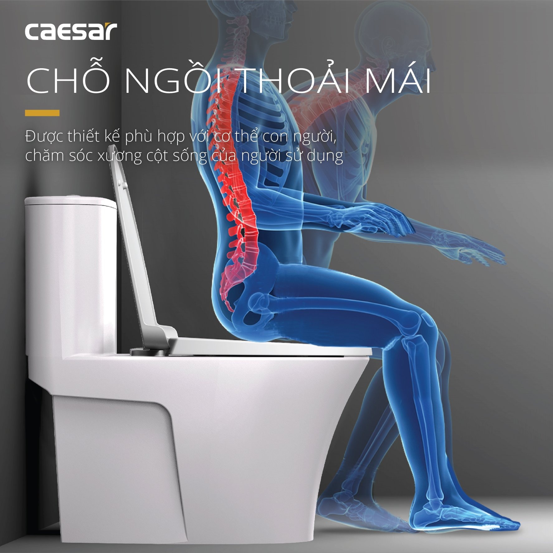 Bồn cầu 1 khối Caesar C1395 (CD1395) nắp đóng êm