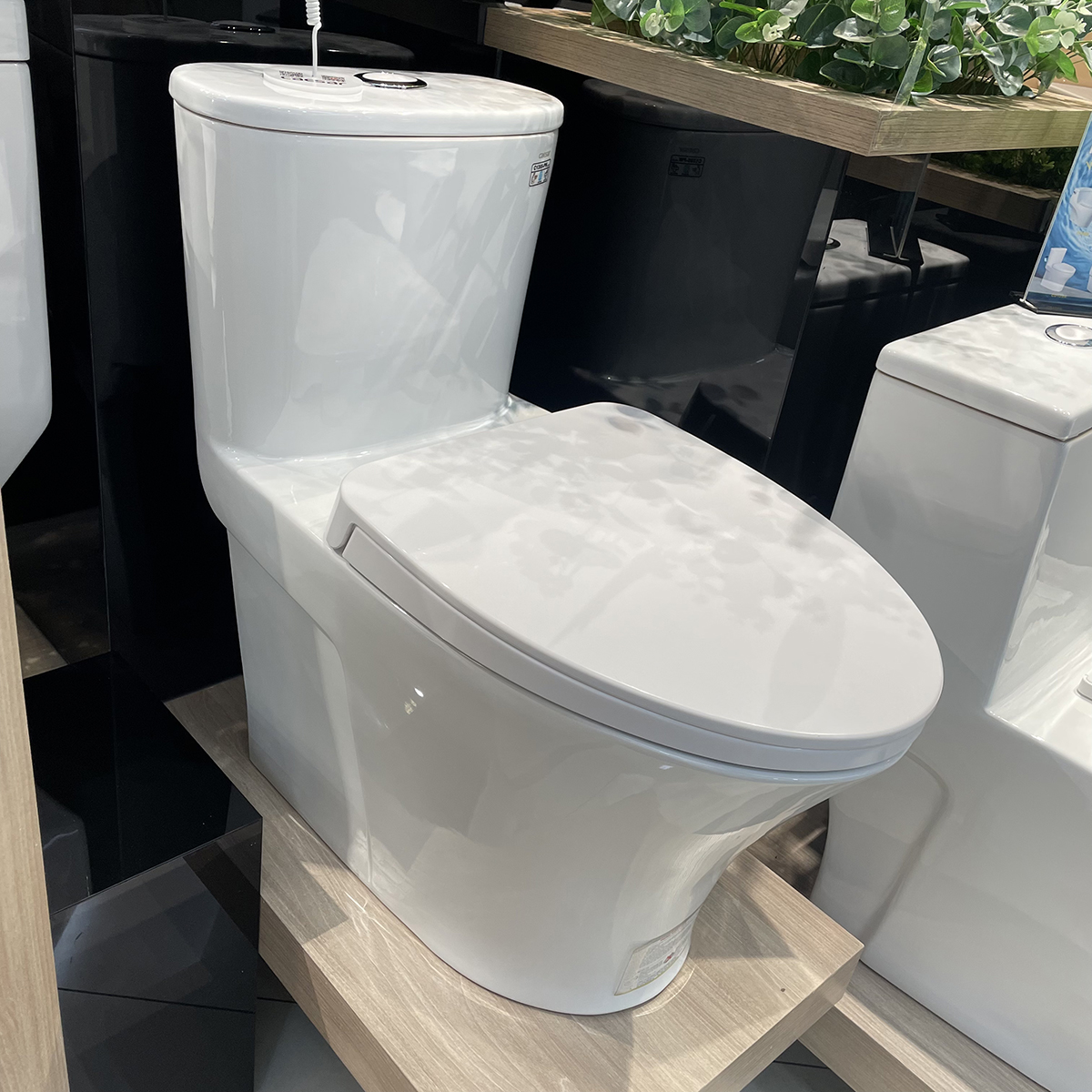 Bồn cầu 1 khối Caesar C1395 (CD1395) nắp đóng êm