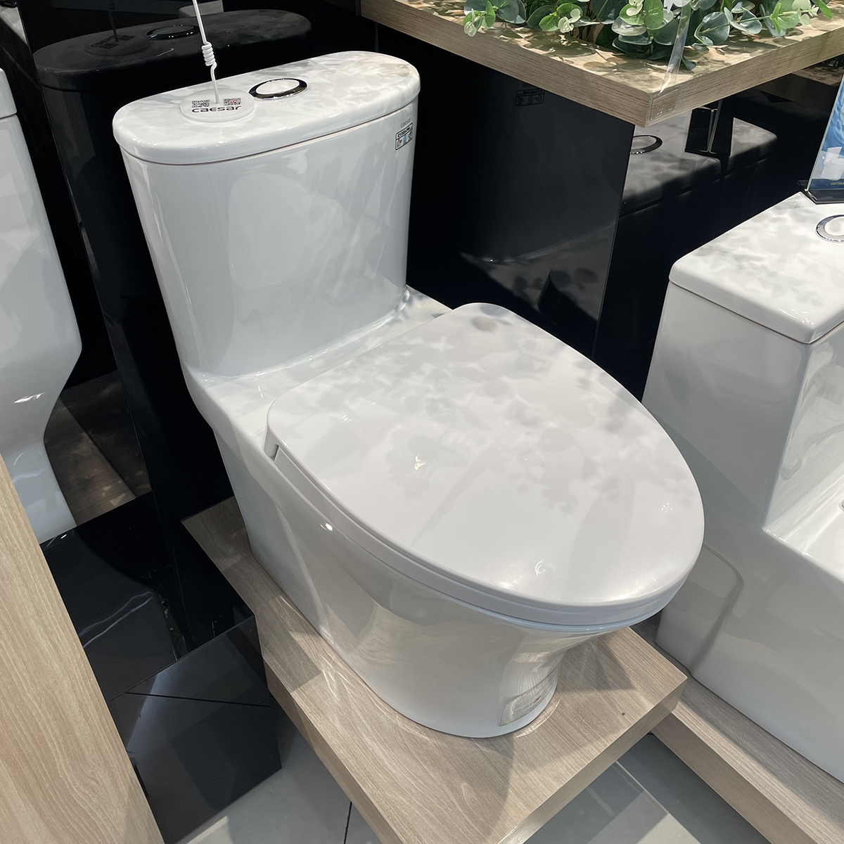 Bồn cầu 1 khối Caesar C1395 (CD1395) nắp đóng êm