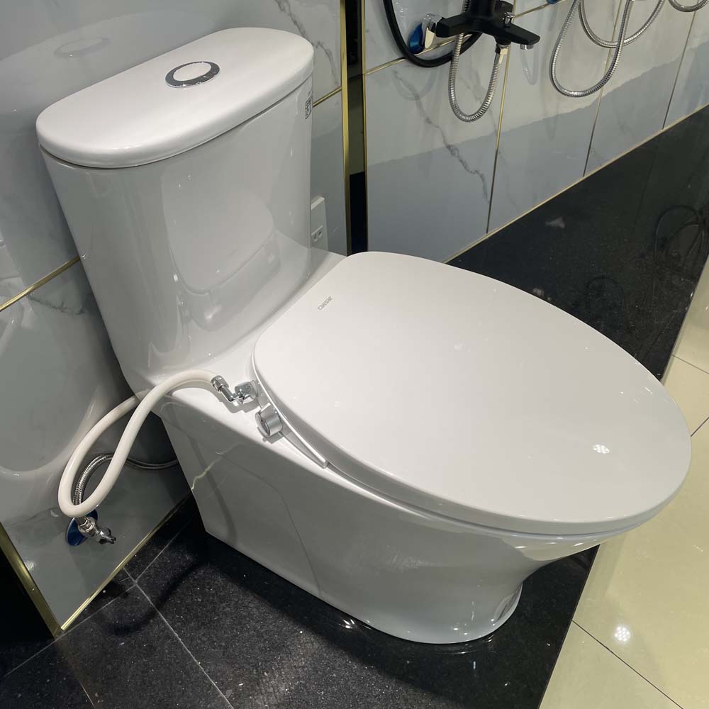 Bồn cầu 1 khối nắp rửa cơ Caesar C1395F + TAF060 (CD1395+TAF060)