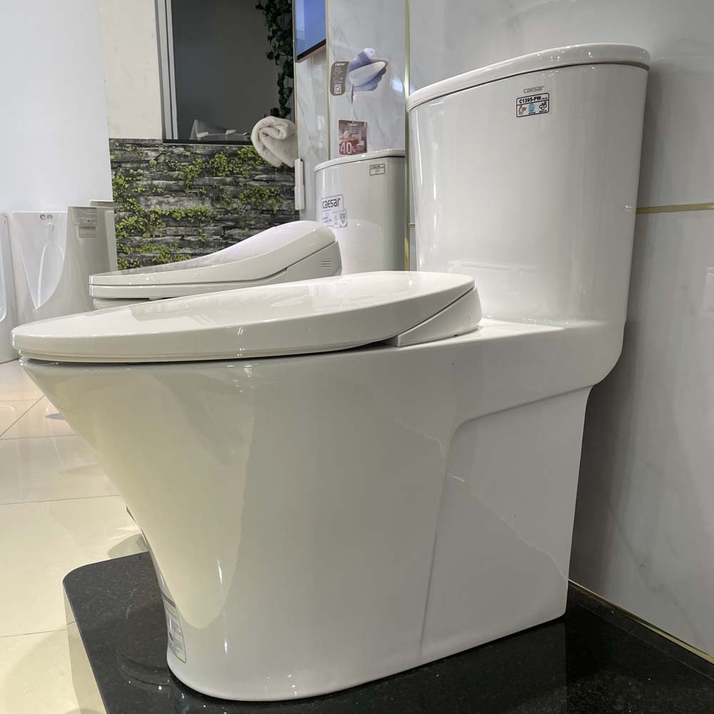 Bồn cầu 1 khối nắp rửa cơ Caesar C1395F + TAF060 (CD1395+TAF060)