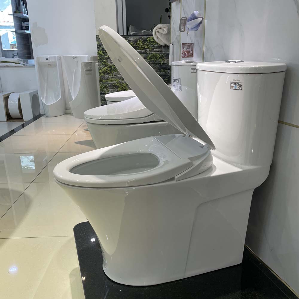Bồn cầu 1 khối nắp rửa cơ Caesar C1395F + TAF060 (CD1395+TAF060)