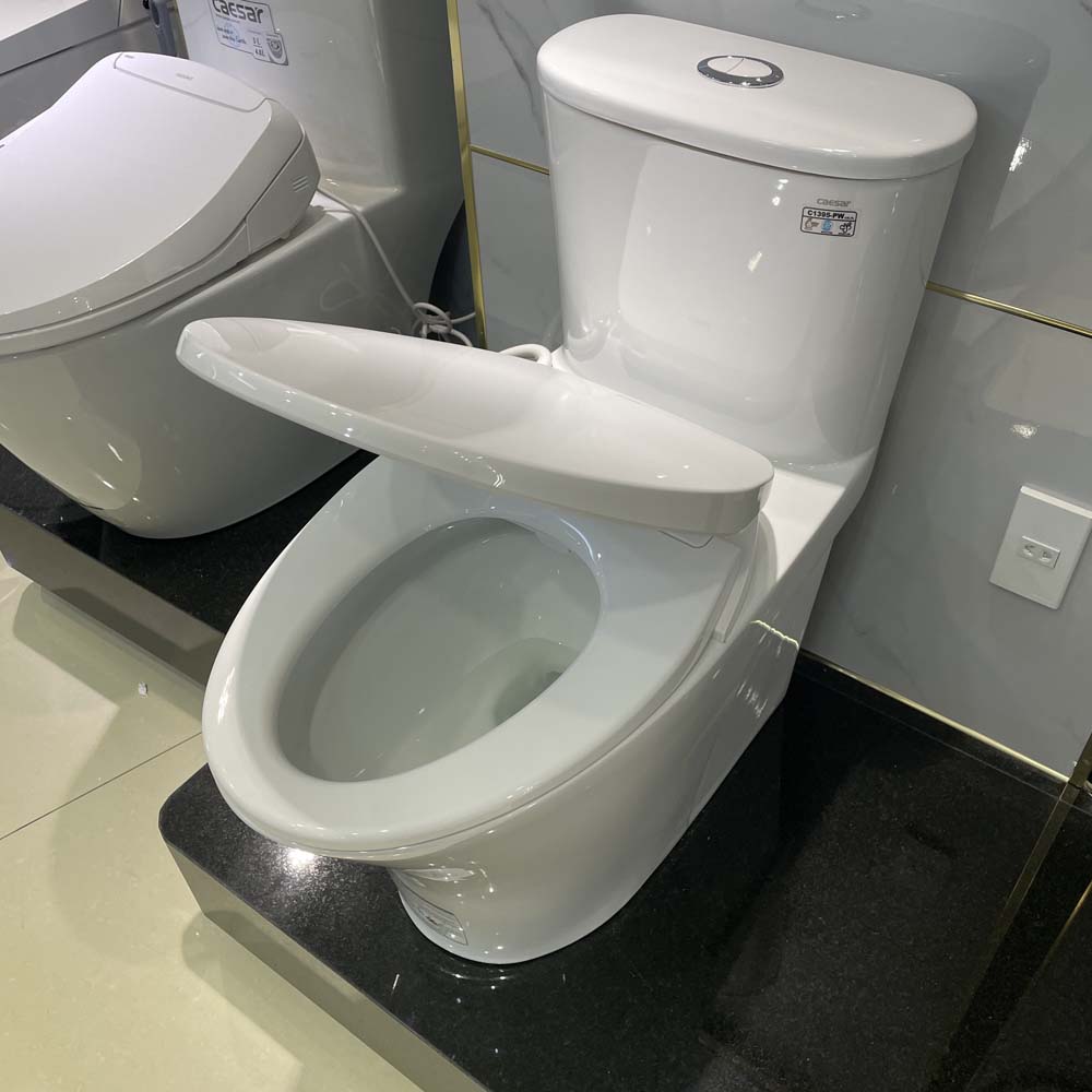 Bồn cầu 1 khối nắp rửa cơ Caesar C1395F + TAF060 (CD1395+TAF060)