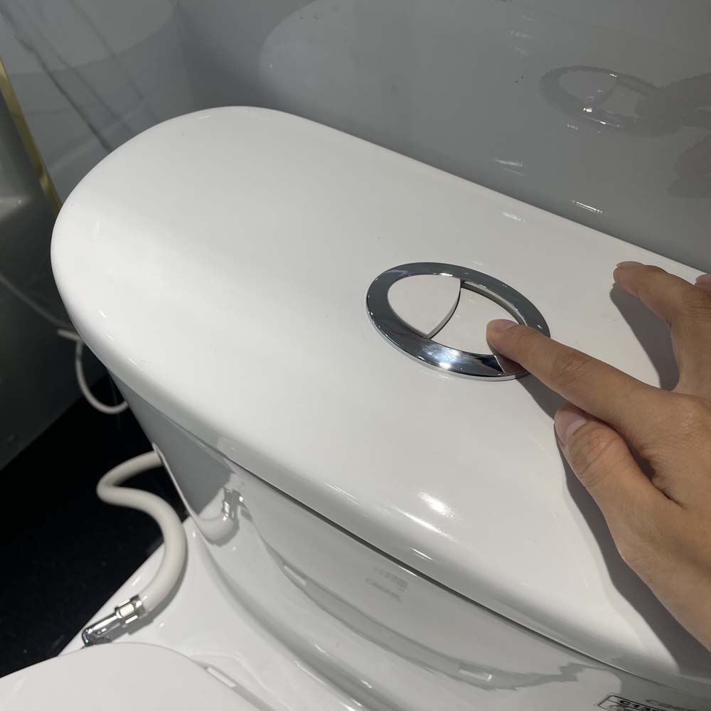 Bồn cầu 1 khối nắp rửa cơ Caesar C1395F + TAF060 (CD1395+TAF060)