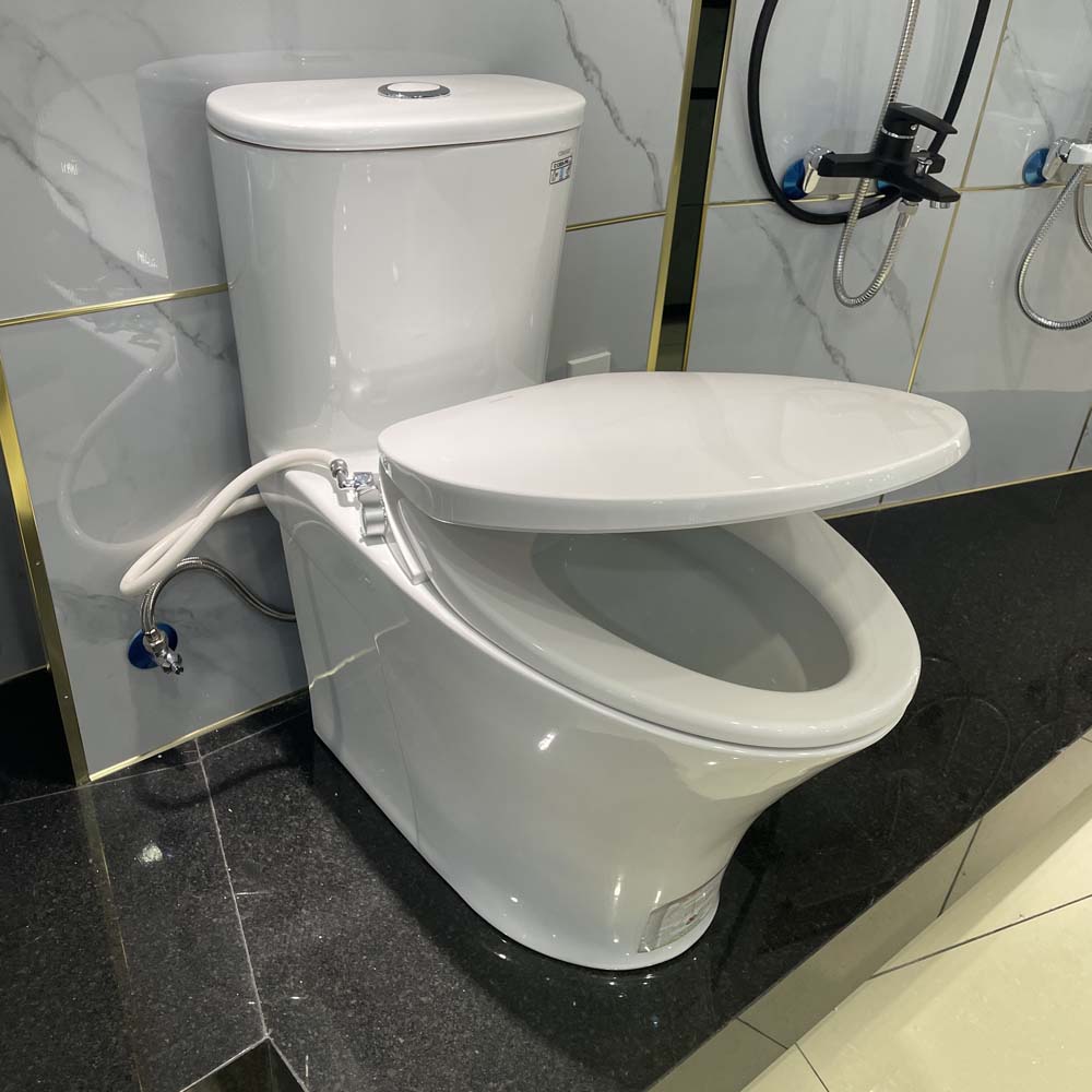 Bồn cầu 1 khối nắp rửa cơ Caesar C1395F + TAF060 (CD1395+TAF060)