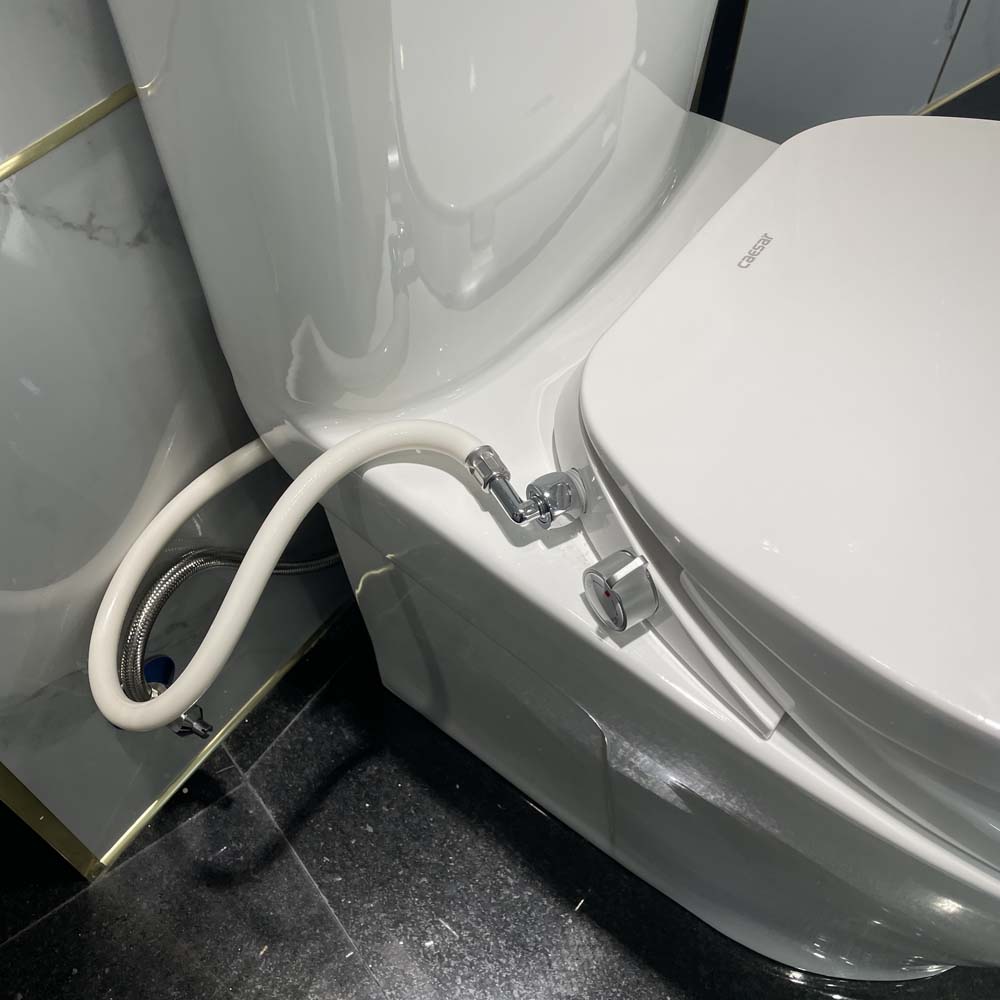 Bồn cầu 1 khối nắp rửa cơ Caesar C1395F + TAF060 (CD1395+TAF060)