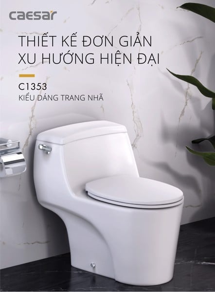 Bồn cầu 1 khối nắp rửa cơ Caesar C1353F + TAF060 (C1353+TAF060)