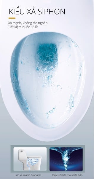 Bồn cầu 1 khối nắp rửa cơ Caesar C1353F + TAF060 (C1353+TAF060)