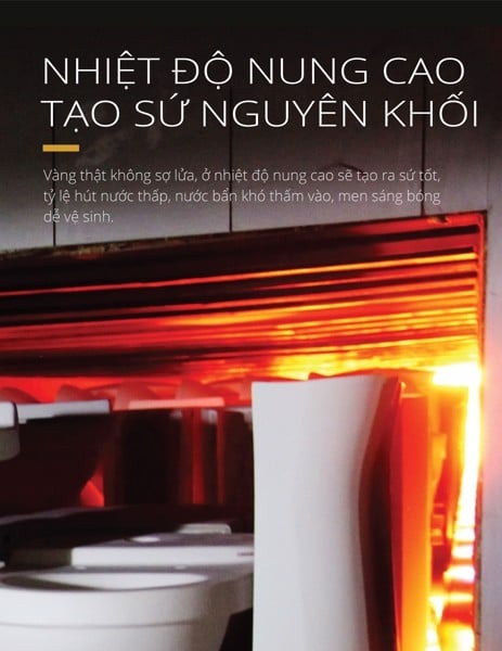 Bồn cầu 1 khối nắp rửa cơ Caesar C1353F + TAF060 (C1353+TAF060)