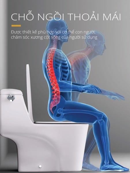 Bồn cầu 1 khối nắp rửa cơ Caesar C1353F + TAF060 (C1353+TAF060)