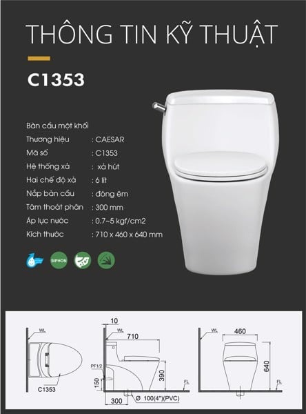 Bồn cầu 1 khối nắp rửa cơ Caesar C1353F + TAF060 (C1353+TAF060)