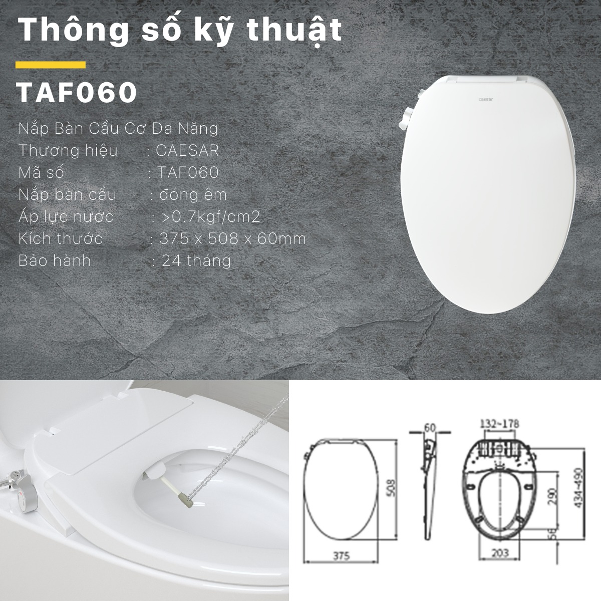 Bồn cầu 1 khối nắp rửa cơ Caesar C1391F + TAF060 (C1391 + TAF060)