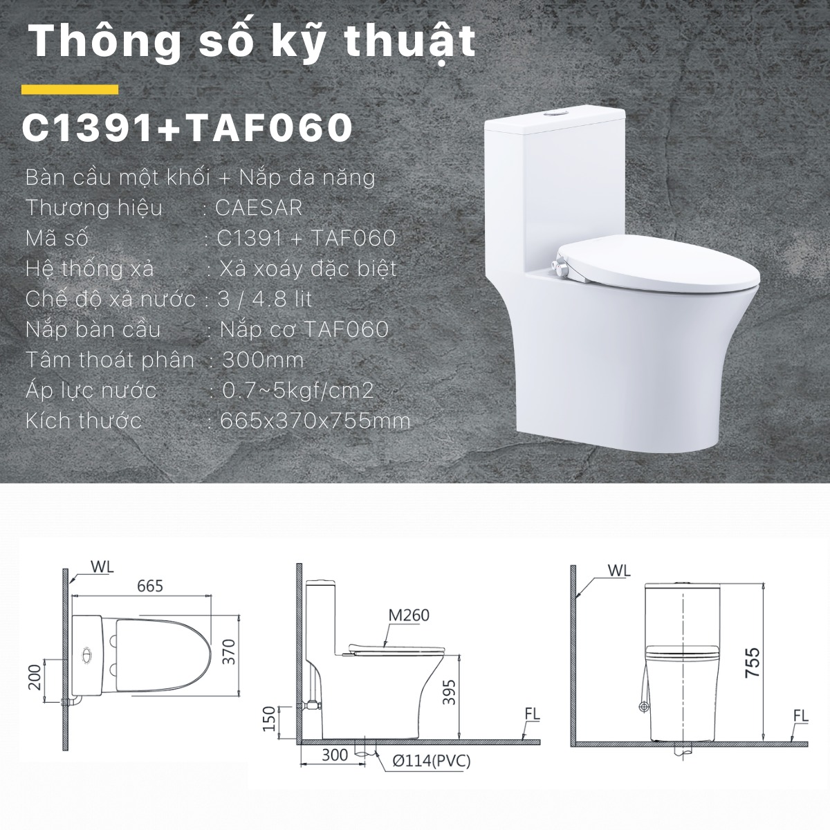 Bồn cầu 1 khối nắp rửa cơ Caesar C1391F + TAF060 (C1391 + TAF060)