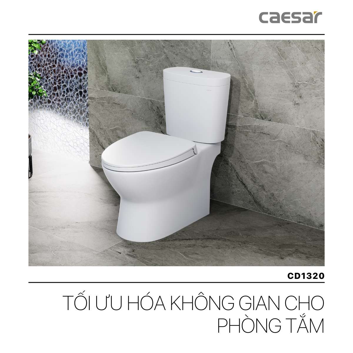 Bồn cầu 2 khối nắp rửa cơ Caesar CD1320 + TAF060