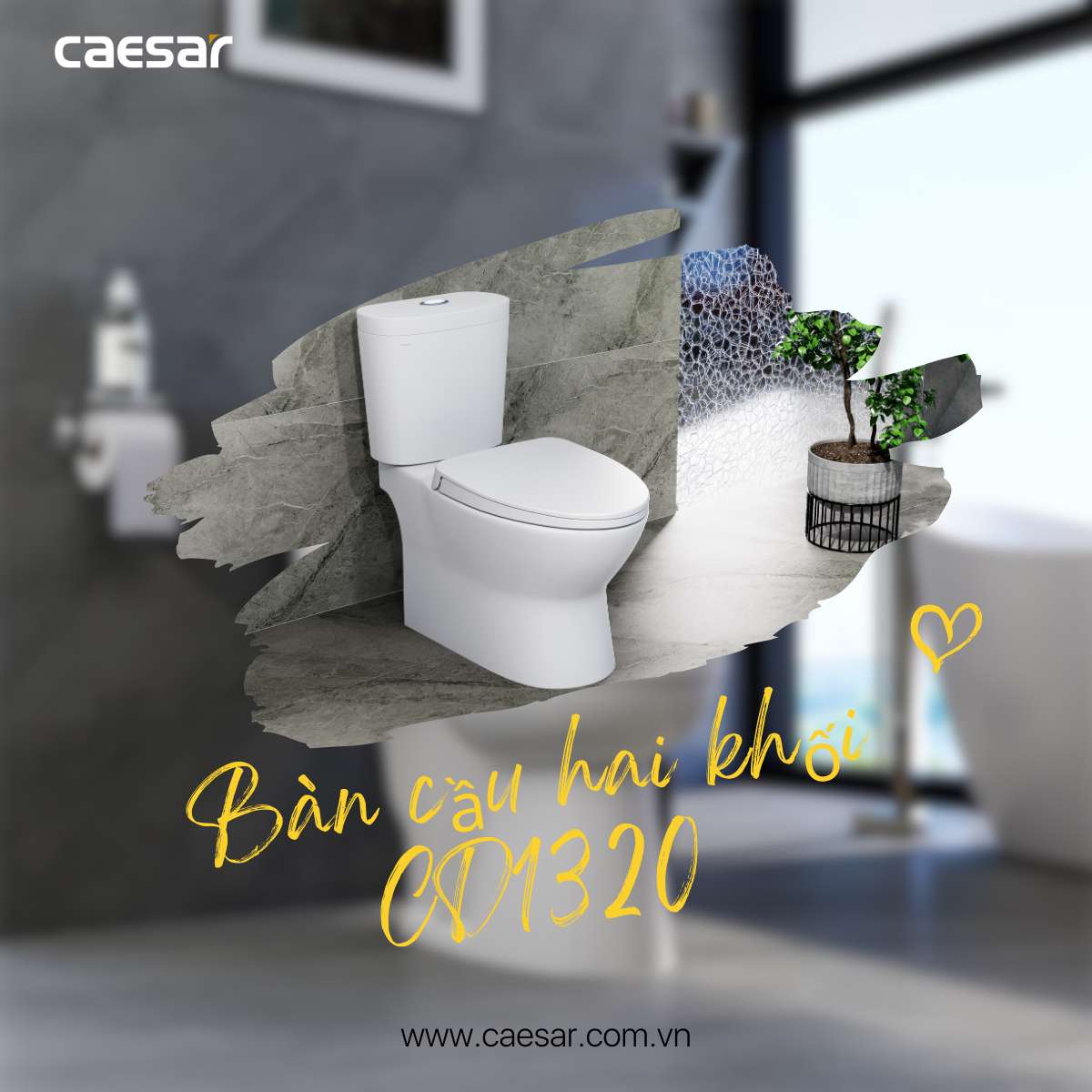 Bồn cầu 2 khối nắp rửa cơ Caesar CD1320 + TAF060