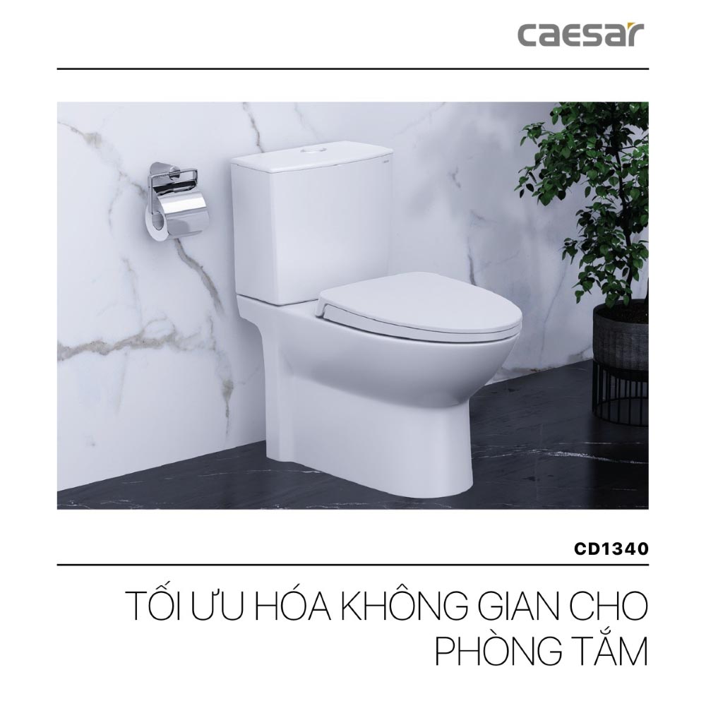 Bồn cầu 2 khối nắp rửa cơ Caesar CD1340 + TAF060