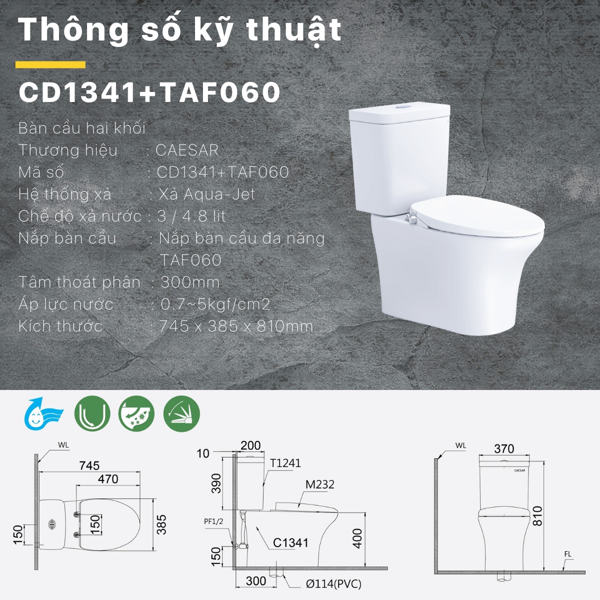 Bồn cầu 2 khối nắp rửa cơ Caesar CD1341 + TAF060