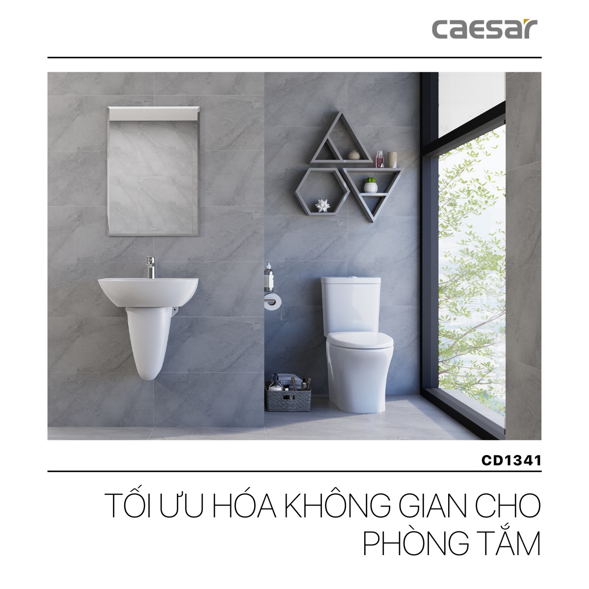 Bồn cầu 2 khối nắp rửa cơ Caesar CD1341 + TAF060