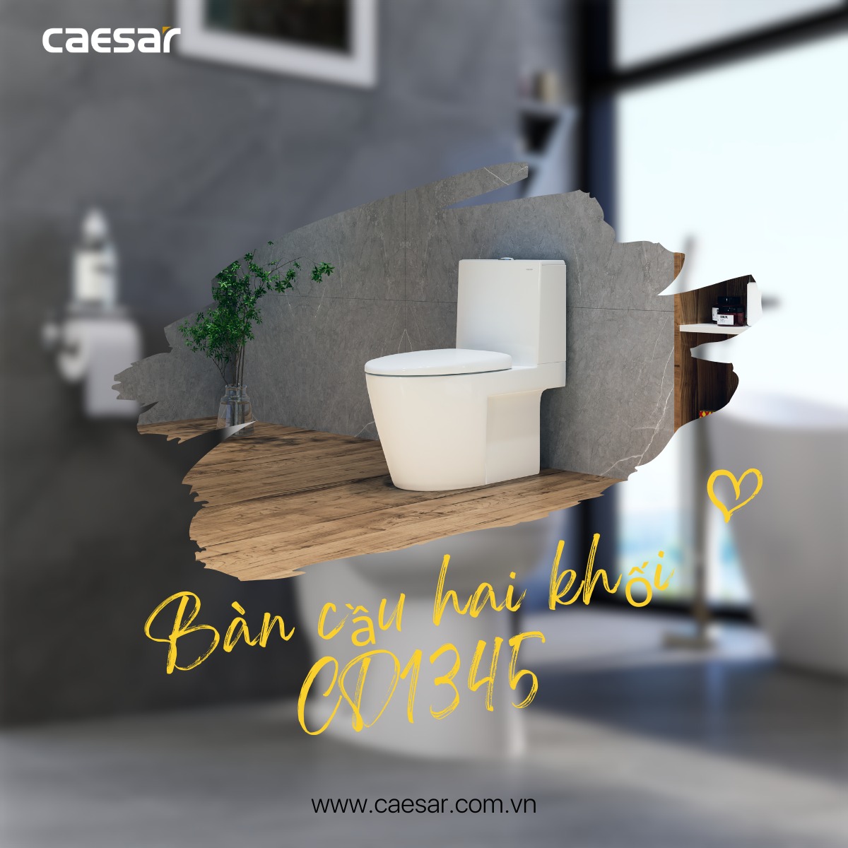 Bồn cầu 2 khối nắp rửa cơ Caesar CD1345+TAF060