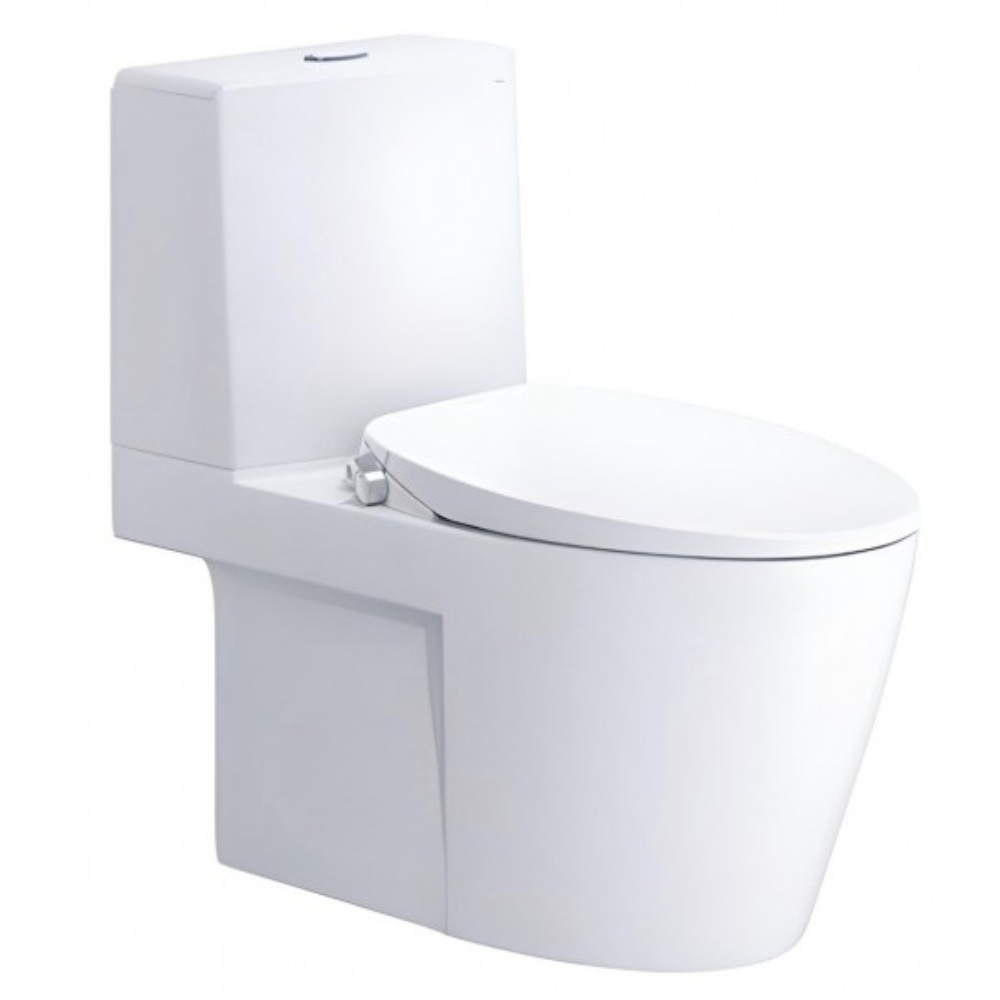 Bồn cầu 2 khối nắp rửa cơ Caesar CD1345+TAF060