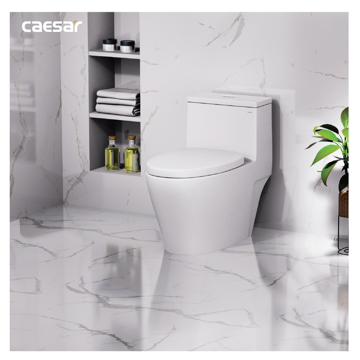 Bồn cầu 1 khối nắp rửa cơ Caesar C1356F + TAF060 (CD1356+TAF060)